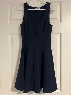 Everly Navy A-Line Mini Dress